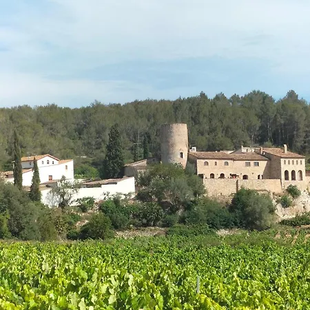Casa rural La Torre-3